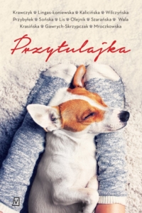 Dogoterapia czytelnicza – TOP 10 książek z psami w roli głównej